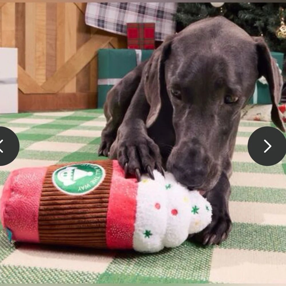 Bark Box XL Puppermint mocha latte dog toy NEW
